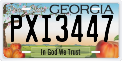 GA license plate PXI3447