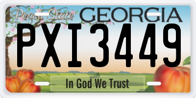 GA license plate PXI3449