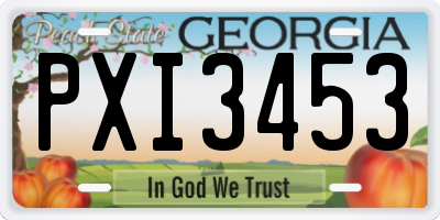 GA license plate PXI3453