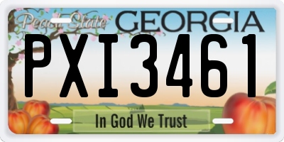 GA license plate PXI3461