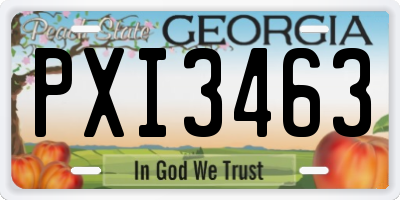 GA license plate PXI3463