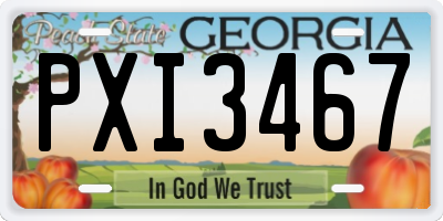GA license plate PXI3467