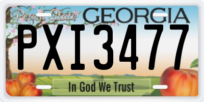 GA license plate PXI3477