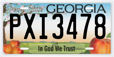 GA license plate PXI3478