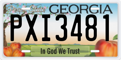 GA license plate PXI3481