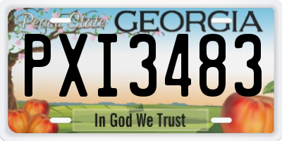 GA license plate PXI3483