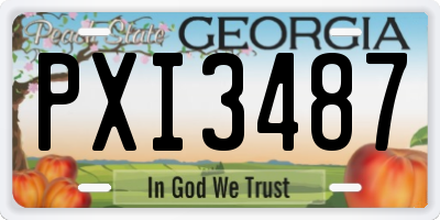 GA license plate PXI3487