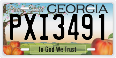 GA license plate PXI3491