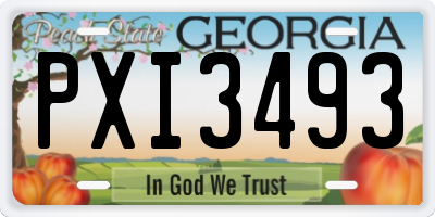 GA license plate PXI3493
