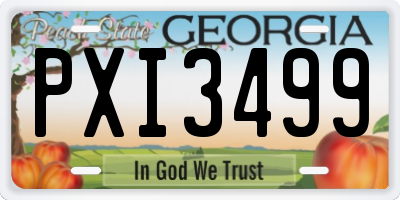 GA license plate PXI3499