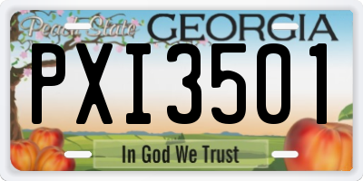 GA license plate PXI3501