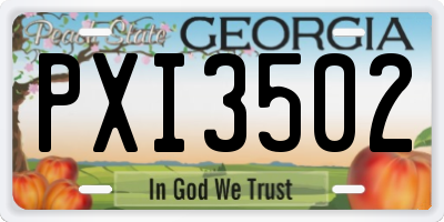 GA license plate PXI3502