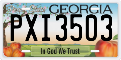 GA license plate PXI3503
