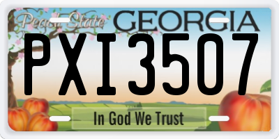 GA license plate PXI3507