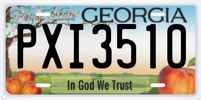 GA license plate PXI3510