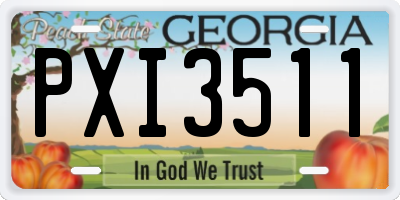 GA license plate PXI3511