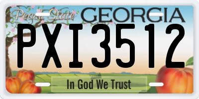 GA license plate PXI3512