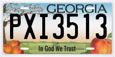 GA license plate PXI3513