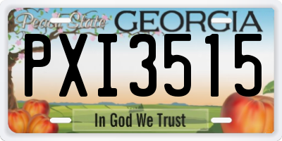GA license plate PXI3515