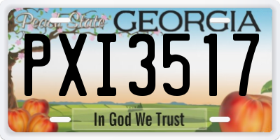 GA license plate PXI3517