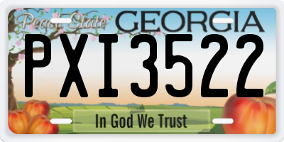 GA license plate PXI3522