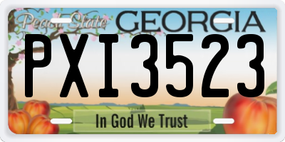 GA license plate PXI3523