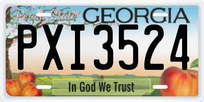 GA license plate PXI3524