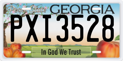 GA license plate PXI3528