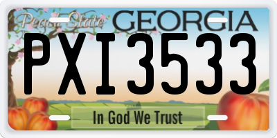 GA license plate PXI3533