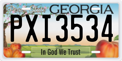 GA license plate PXI3534