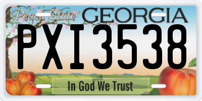 GA license plate PXI3538