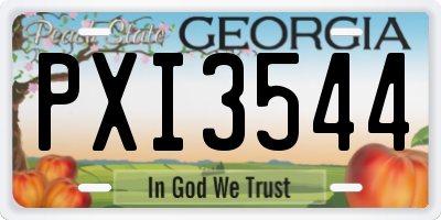 GA license plate PXI3544