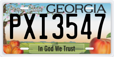 GA license plate PXI3547
