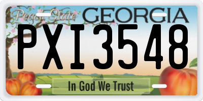 GA license plate PXI3548