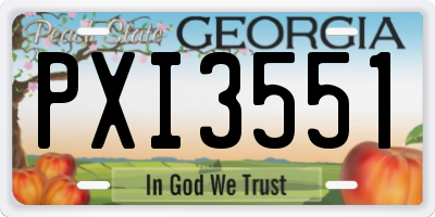 GA license plate PXI3551
