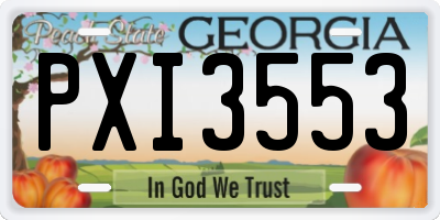 GA license plate PXI3553