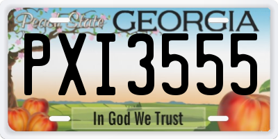 GA license plate PXI3555