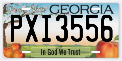 GA license plate PXI3556