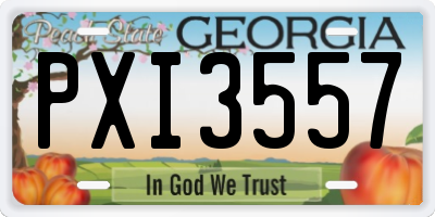 GA license plate PXI3557