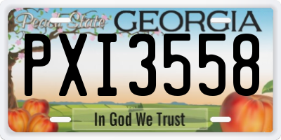 GA license plate PXI3558