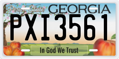 GA license plate PXI3561