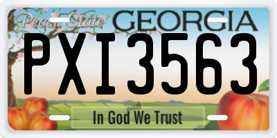 GA license plate PXI3563