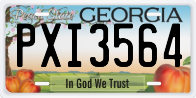 GA license plate PXI3564