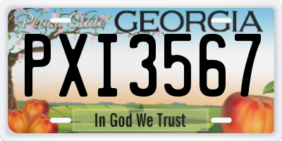 GA license plate PXI3567
