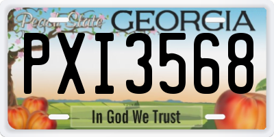 GA license plate PXI3568
