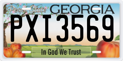 GA license plate PXI3569