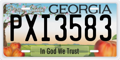 GA license plate PXI3583