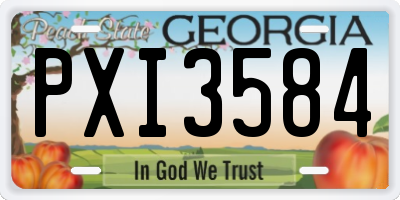 GA license plate PXI3584