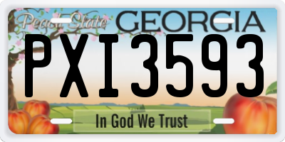 GA license plate PXI3593