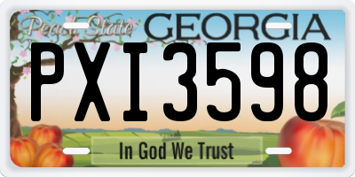GA license plate PXI3598